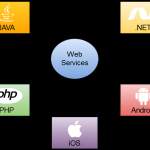 Semantic Web Services